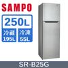 SAMPO聲寶 經典250L 雙門定頻冰箱 SR-B25G