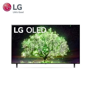 【LG 樂金】55吋 OLED 入門-A1系列 AI 4K物聯網電視 OLED55A1PSA