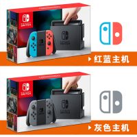 任天堂NS switch lite二手主機 Nintendo Switch主機 港日 另回收