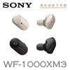 【送原廠矽膠保護套】SONY WF-1000XM3 真無線降噪 藍牙耳機 藍芽耳機 (台灣公司貨保固2年)