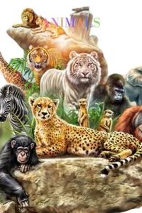 Animals: Notebook animals lover