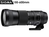 【震博】SIGMA 150-600mm F5-6.3 DG DN OS Sports鏡頭for Sony (E接環；公司貨)飛羽鏡頭