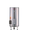 (全省安裝)林內30加侖儲熱式電熱水器(不鏽鋼內桶)熱水器REH-3065