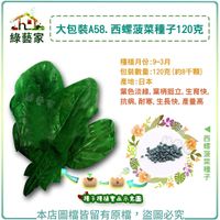 【綠藝家】大包裝A58西螺菠菜種子120克