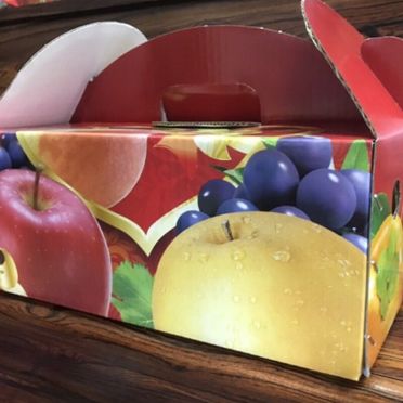 過年送禮 水果禮盒 美國 日本 進口禮盒 蘋果 哈密瓜 麝香葡萄