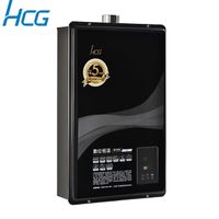 【HCG 和成】數位恆溫強制排氣熱水器20L(GH2055 天然瓦斯)