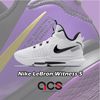 Nike 籃球鞋 Lebron Witness V EP 白 黑 5 詹姆斯 氣墊 男鞋【ACS】 CQ9381-101