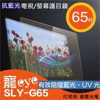 65吋 抗藍光液晶電視/螢幕護目鏡 SLY-G65