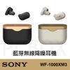 【Sony】台灣公司貨 WF-1000XM3 無線降噪耳機