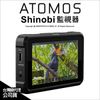 Atomos Shinobi 監視器 5.2吋 4K 監看螢幕 外接螢幕 HDMI 公司貨【可刷卡】 薪創數位