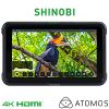 澳洲 ATOMOS Shinobi HDMI 5吋高清監視記錄器 ATOMSHBH01