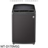LG樂金【WT-D170MSG】17公斤變頻洗衣機