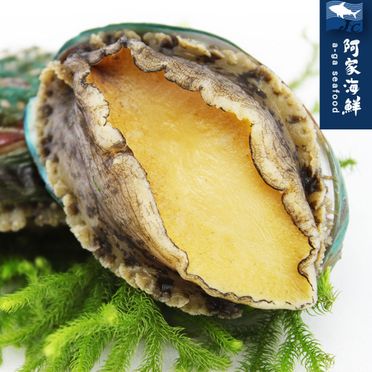 【阿家海鮮】熟凍帶殼鮮凍鮑魚 1kg±10%/包(40%冰)