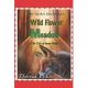The Fairy Journals: Wild Flower Meadow: The Tale of Peter-Blood