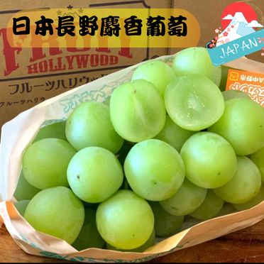 日本長野香印麝香葡萄(4L特選)單房禮盒裝(600g+-10%) ⭐ l 緁迪水果