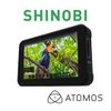 河馬屋 Atomos SHINOBI 5 吋 4K HDMI 監視器