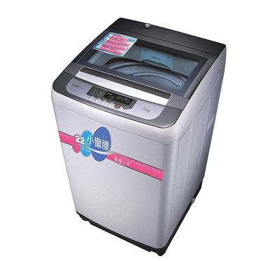 TECO 東元 定頻單槽洗衣機 - 10KG (W1038FW)