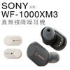 【送收納袋】SONY WF-1000XM3 真無線降噪耳機 無線藍芽 降噪【邏思保固一年】