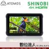 ATOMOS SHINOBI HDMI 版外接螢幕監視器 5吋 / 外接螢幕 4K 監視器 HDMI 監看螢幕 數位達人