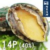 【阿家海鮮】熟凍帶殼鮮凍鮑魚 (14顆/1kg±10%/包) 40%冰