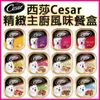西莎Cesar精緻主廚風味料理餐盒系列100g(單罐/整箱24入口味任選)狗糧 狗罐頭(649元)