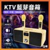 KTV藍牙音箱 行動KTV SD309 雙人無線 KTV 卡拉OK 音響喇叭 藍牙喇叭 藍芽 音響 SW037