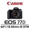 Canon EOS 77D 18-55mm Kit 單鏡組 [中文平輸]