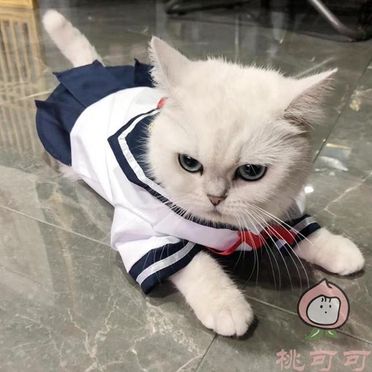 貓衣服lolita貓咪狗狗可愛襯衫裙子薄款寵物JK制服裙水手服狗衣服