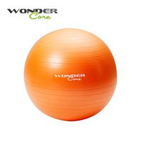 Wonder Core抗力瑜珈球(65cm)