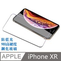 iPhone XR 6.1吋滿版鋼化玻璃保護貼
